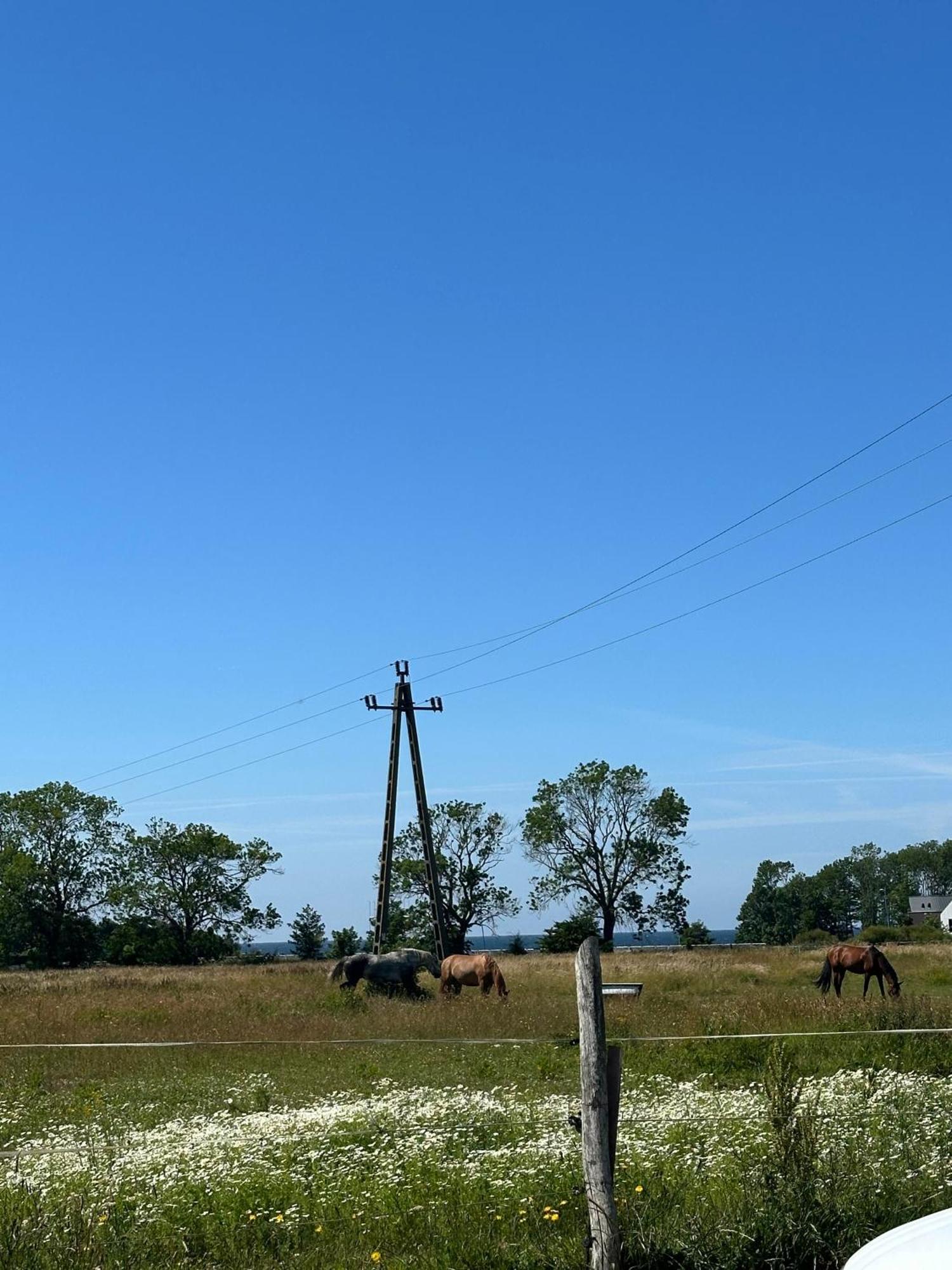 Domki Aurora Klimatyzowane, Z Podgrzewanym Basenem I Zjezdzalnia Wodna Rewal Exterior photo